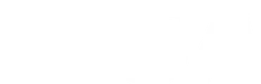 Visa Logo